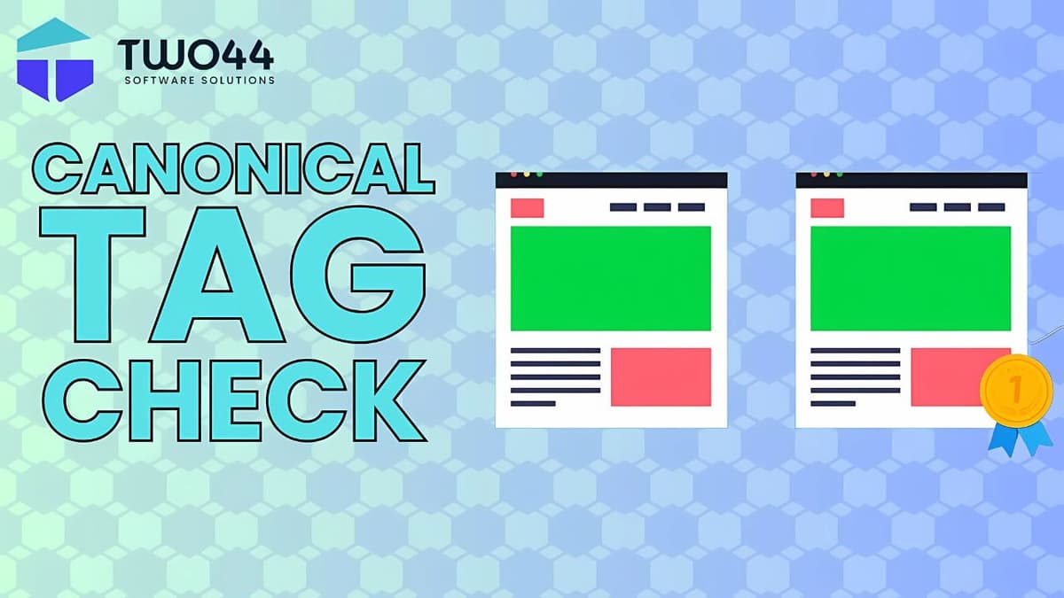 Canonical Tag Check